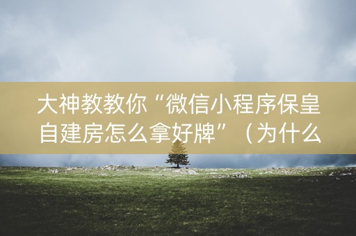 大神教教你“微信小程序保皇自建房怎么拿好牌”（为什么有人一直赢)