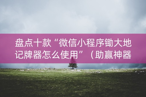 盘点十款“微信小程序锄大地记牌器怎么使用”（助赢神器购买)