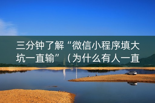 三分钟了解“微信小程序填大坑一直输”（为什么有人一直赢)