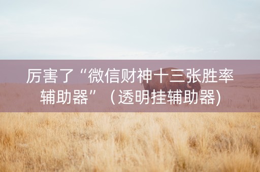 厉害了“微信财神十三张胜率辅助器”（透明挂辅助器)