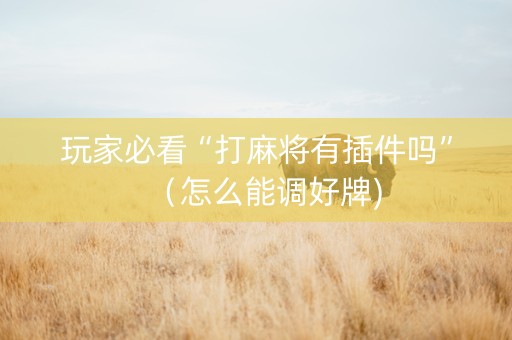 玩家必看“打麻将有插件吗”（怎么能调好牌)