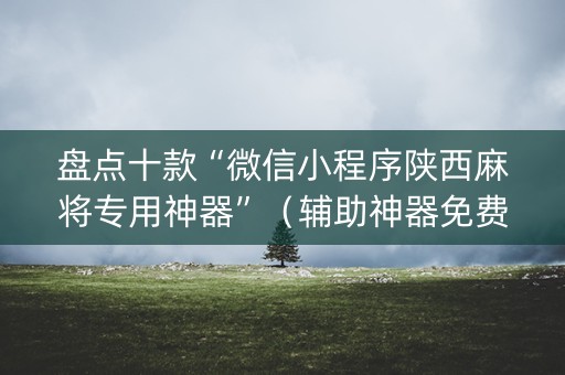 盘点十款“微信小程序陕西麻将专用神器”（辅助神器免费)