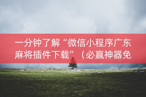 一分钟了解“微信小程序广东麻将插件下载”（必赢神器免费安装)