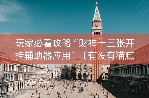 玩家必看攻略“财神十三张开挂辅助器应用”（有没有猫腻)