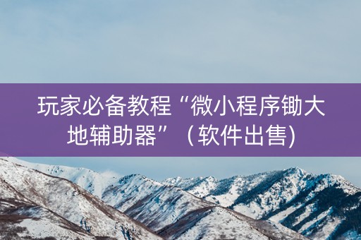 玩家必备教程“微小程序锄大地辅助器”（软件出售)