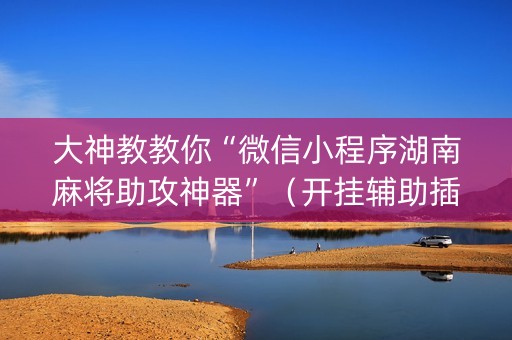 大神教教你“微信小程序湖南麻将助攻神器”（开挂辅助插件)