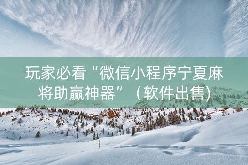 玩家必看“微信小程序宁夏麻将助赢神器”（软件出售)