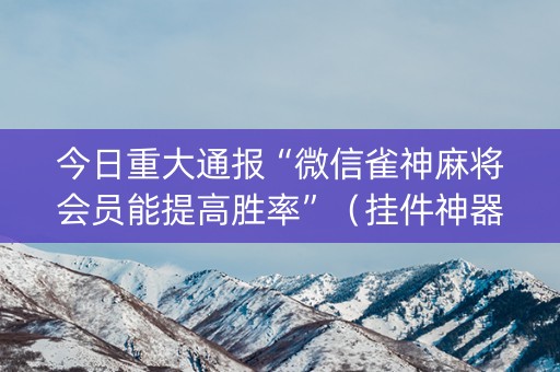 今日重大通报“微信雀神麻将会员能提高胜率”（挂件神器)