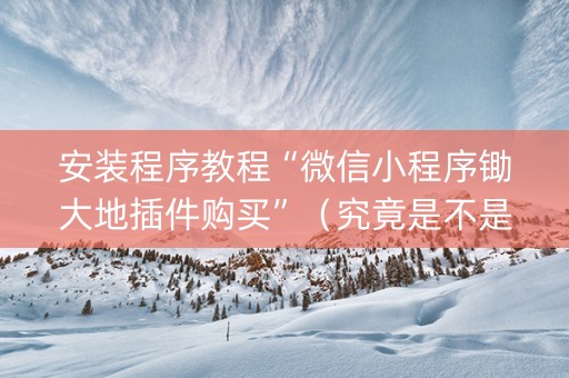 安装程序教程“微信小程序锄大地插件购买”（究竟是不是有挂)