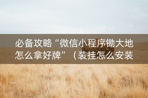 必备攻略“微信小程序锄大地怎么拿好牌”（装挂怎么安装)