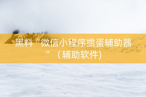 黑料“微信小程序掼蛋辅助器”（辅助软件)