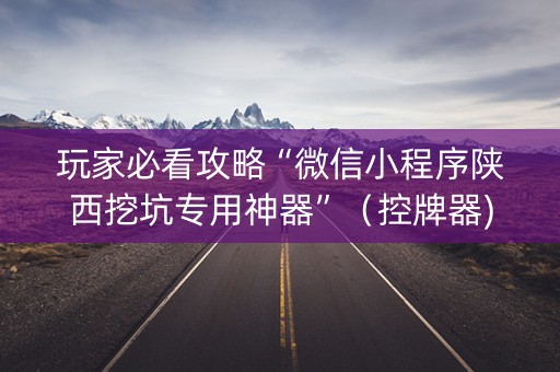 玩家必看攻略“微信小程序陕西挖坑专用神器”（控牌器)