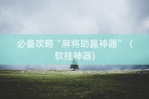 必备攻略“麻将助赢神器”（软挂神器)