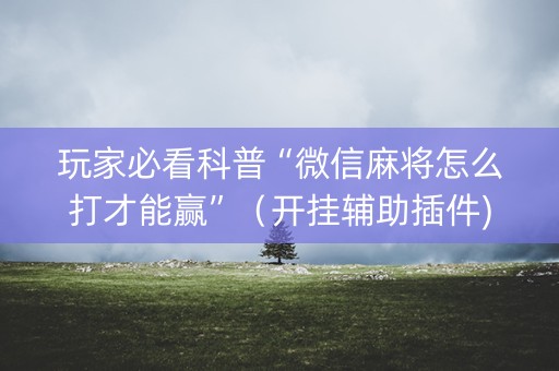 玩家必看科普“微信麻将怎么打才能赢”（开挂辅助插件)