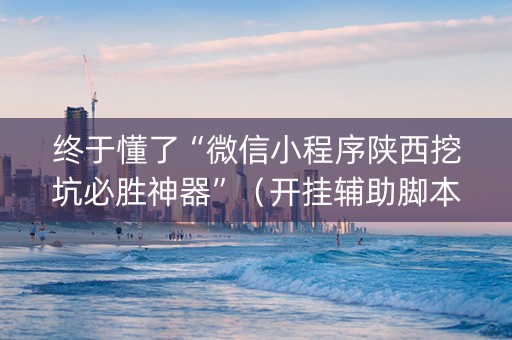 终于懂了“微信小程序陕西挖坑必胜神器”（开挂辅助脚本)