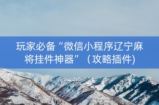 玩家必备“微信小程序辽宁麻将挂件神器”（攻略插件)