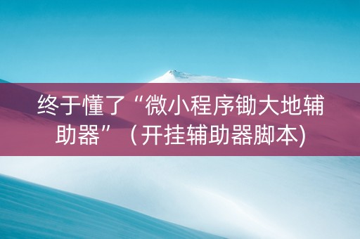 终于懂了“微小程序锄大地辅助器”（开挂辅助器脚本)