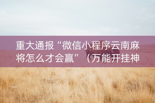 重大通报“微信小程序云南麻将怎么才会赢”（万能开挂神器)