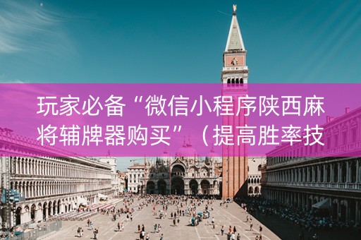 玩家必备“微信小程序陕西麻将辅牌器购买”（提高胜率技巧)