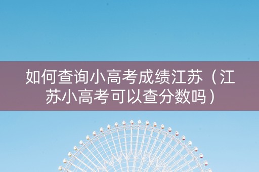 如何查询小高考成绩江苏（江苏小高考可以查分数吗）