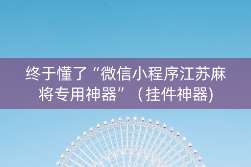 终于懂了“微信小程序江苏麻将专用神器”（挂件神器)