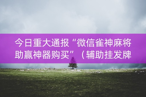 今日重大通报“微信雀神麻将助赢神器购买”（辅助挂发牌规律)