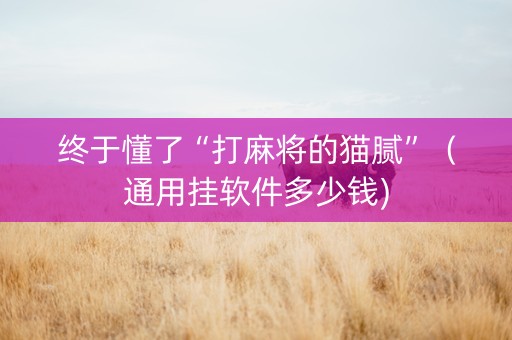 终于懂了“打麻将的猫腻”（通用挂软件多少钱)