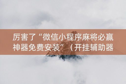 厉害了“微信小程序麻将必赢神器免费安装”（开挂辅助器插件)