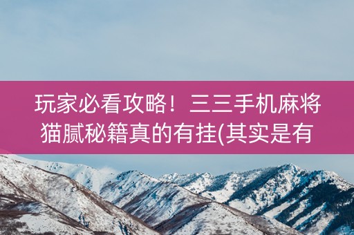 玩家必看攻略！三三手机麻将猫腻秘籍真的有挂(其实是有挂的)