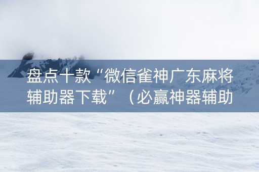 盘点十款“微信雀神广东麻将辅助器下载”（必赢神器辅助器)