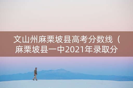 文山州麻栗坡县高考分数线（麻栗坡县一中2021年录取分线）