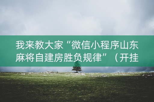 我来教大家“微信小程序山东麻将自建房胜负规律”（开挂辅助脚本)