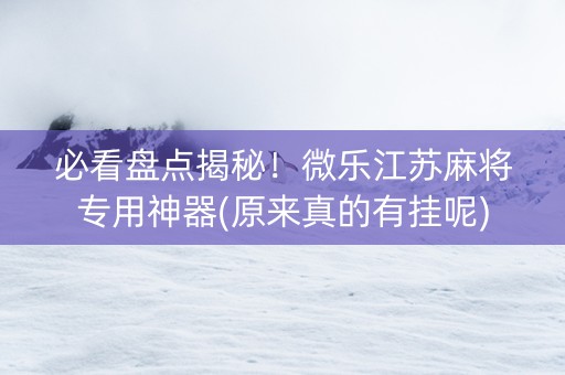 必看盘点揭秘！微乐江苏麻将专用神器(原来真的有挂呢)
