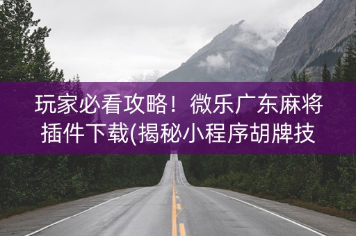 玩家必看攻略！微乐广东麻将插件下载(揭秘小程序胡牌技巧)