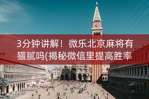3分钟讲解！微乐北京麻将有猫腻吗(揭秘微信里提高胜率)