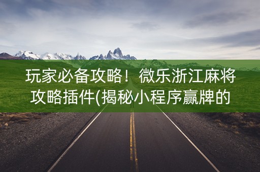 玩家必备攻略！微乐浙江麻将攻略插件(揭秘小程序赢牌的技巧)
