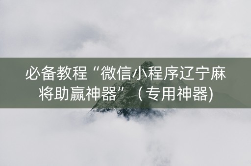 必备教程“微信小程序辽宁麻将助赢神器”（专用神器)