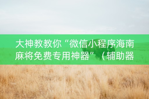 大神教教你“微信小程序海南麻将免费专用神器”（辅助器下载)