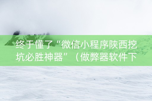 终于懂了“微信小程序陕西挖坑必胜神器”（做弊器软件下载)