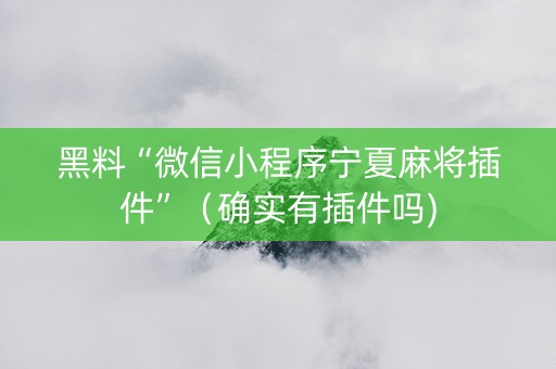 黑料“微信小程序宁夏麻将插件”（确实有插件吗)