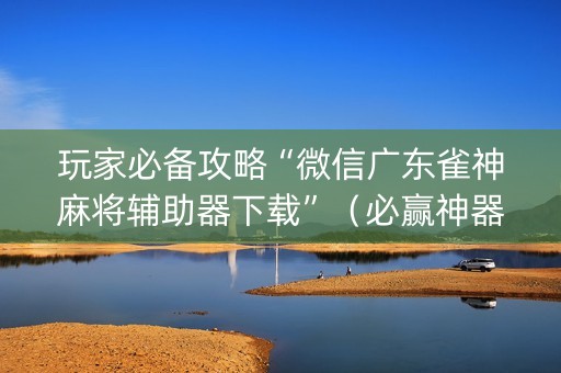 玩家必备攻略“微信广东雀神麻将辅助器下载”（必赢神器辅助器)