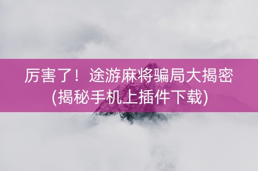 厉害了！途游麻将骗局大揭密(揭秘手机上插件下载)