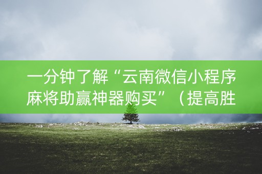 一分钟了解“云南微信小程序麻将助赢神器购买”（提高胜率软件)