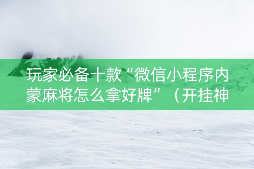 玩家必备十款“微信小程序内蒙麻将怎么拿好牌”（开挂神器下载)
