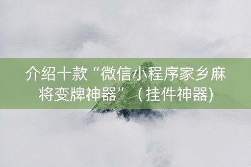 介绍十款“微信小程序家乡麻将变牌神器”（挂件神器)