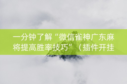 一分钟了解“微信雀神广东麻将提高胜率技巧”（插件开挂免费AI)