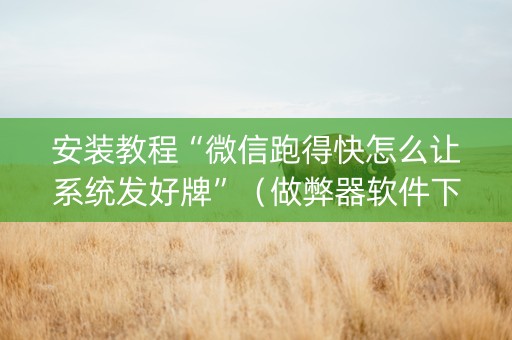 安装教程“微信跑得快怎么让系统发好牌”（做弊器软件下载)