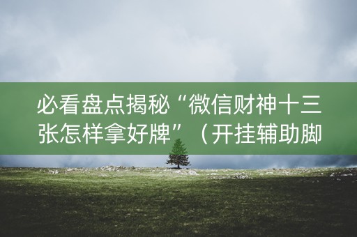 必看盘点揭秘“微信财神十三张怎样拿好牌”（开挂辅助脚本)