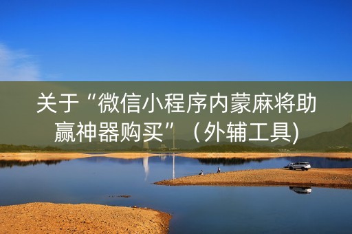 关于“微信小程序内蒙麻将助赢神器购买”（外辅工具)