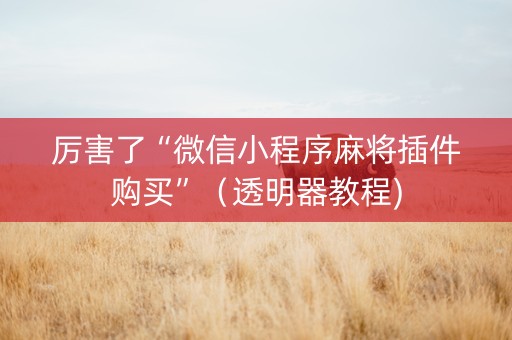 厉害了“微信小程序麻将插件购买”（透明器教程)
